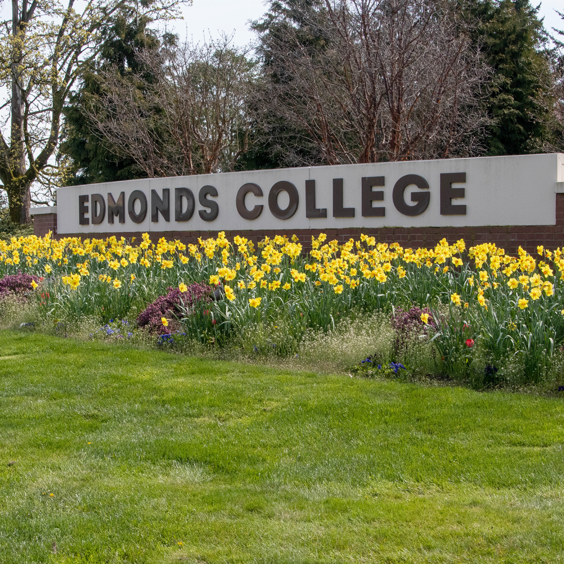 Classes for the dental assistant program at Edmonds College will be held in the evening. (Photo Credit: Arutyun Sargsyan)